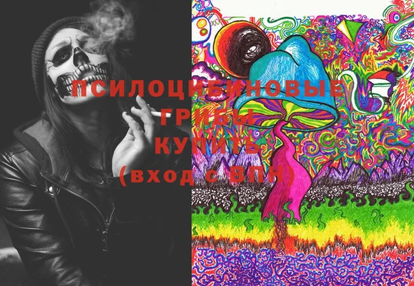 гидропоника Коряжма