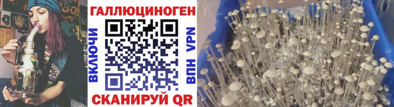 Галлюциногенные грибы Psilocybe  Мостовской 